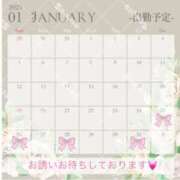 ヒメ日記 2025/01/24 19:00 投稿 めい 出会い系人妻ネットワーク 上野〜大塚編