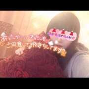 ヒメ日記 2025/01/25 17:30 投稿 めい 出会い系人妻ネットワーク 上野〜大塚編