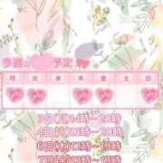 ヒメ日記 2025/03/03 17:30 投稿 めい 出会い系人妻ネットワーク 上野〜大塚編