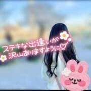 ヒメ日記 2025/03/07 10:00 投稿 めい 出会い系人妻ネットワーク 上野〜大塚編