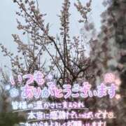 ヒメ日記 2025/03/11 10:00 投稿 めい 出会い系人妻ネットワーク 上野〜大塚編