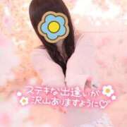 ヒメ日記 2025/04/12 10:00 投稿 めい 出会い系人妻ネットワーク 上野〜大塚編