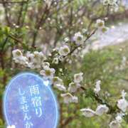 ヒメ日記 2025/04/13 10:02 投稿 めい 出会い系人妻ネットワーク 上野〜大塚編