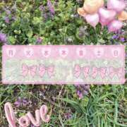 ヒメ日記 2025/04/21 17:00 投稿 めい 出会い系人妻ネットワーク 上野〜大塚編