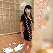 ヒメ日記 2025/04/25 17:00 投稿 めい 出会い系人妻ネットワーク 上野〜大塚編