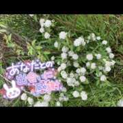 ヒメ日記 2025/04/27 17:00 投稿 めい 出会い系人妻ネットワーク 上野〜大塚編