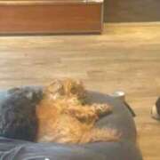 ヒメ日記 2026/01/23 12:24 投稿 じゅん 出会い系人妻ネットワーク 上野〜大塚編