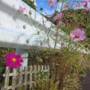 ヒメ日記 2025/10/17 17:55 投稿 ミヤビ 仙台★出張マッサージ委員会