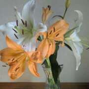 ヒメ日記 2025/11/13 11:45 投稿 ミヤビ 仙台★出張マッサージ委員会