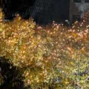 ヒメ日記 2025/11/25 17:25 投稿 ミヤビ 仙台★出張マッサージ委員会