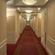 ヒメ日記 2025/06/12 12:45 投稿 桜庭 ひより RANUNCULUS(ラナンキュラス)