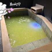 ヒメ日記 2025/07/13 00:55 投稿 桜庭 ひより RANUNCULUS(ラナンキュラス)