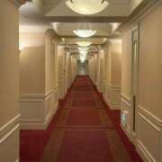 ヒメ日記 2025/08/30 17:25 投稿 桜庭 ひより RANUNCULUS(ラナンキュラス)