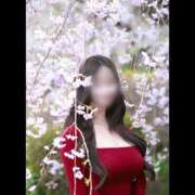 ヒメ日記 2025/09/23 08:05 投稿 桜庭 ひより RANUNCULUS(ラナンキュラス)