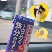 ヒメ日記 2025/10/03 16:56 投稿 桜庭 ひより RANUNCULUS(ラナンキュラス)