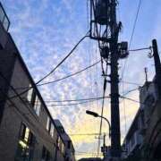 ヒメ日記 2025/10/08 20:25 投稿 桜庭 ひより RANUNCULUS(ラナンキュラス)