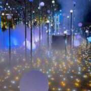 ヒメ日記 2025/11/05 05:55 投稿 桜庭 ひより RANUNCULUS(ラナンキュラス)