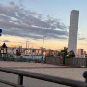 ヒメ日記 2025/11/29 07:35 投稿 桜庭 ひより RANUNCULUS(ラナンキュラス)