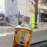 ヒメ日記 2025/12/16 12:35 投稿 桜庭 ひより RANUNCULUS(ラナンキュラス)