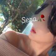 ヒメ日記 2025/02/06 09:26 投稿 倉園 せら Club 麗花