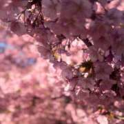 ヒメ日記 2025/03/10 09:05 投稿 倉園 せら Club 麗花