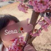 ヒメ日記 2025/03/15 15:40 投稿 倉園 せら Club 麗花