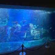 ヒメ日記 2026/04/18 14:37 投稿 ふみ　若き快楽の求道者 よかろうもん下関本店