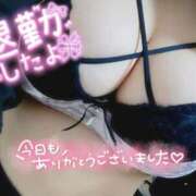 ヒメ日記 2025/06/15 02:25 投稿 ひらら サンキュー仙台店