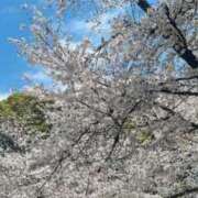 ヒメ日記 2025/04/10 18:44 投稿 まこと One More奥様　八王子店