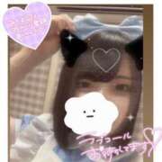 ひいな 🐰えちめいど🐰 サンキュー福岡店