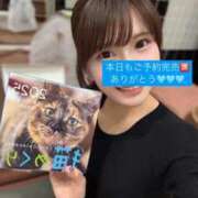 ヒメ日記 2025/02/03 20:50 投稿 なるみ CECIL