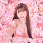 ヒメ日記 2025/02/15 09:57 投稿 なるみ CECIL