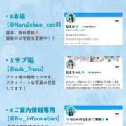 ヒメ日記 2025/09/21 09:56 投稿 なるみ CECIL