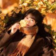 ヒメ日記 2025/11/23 23:55 投稿 なるみ CECIL