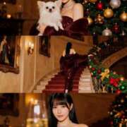 ヒメ日記 2025/11/25 09:19 投稿 なるみ CECIL