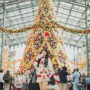 ヒメ日記 2025/12/24 08:57 投稿 なるみ CECIL