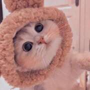 ヒメ日記 2026/02/11 14:27 投稿 つばさ 沖縄素人図鑑