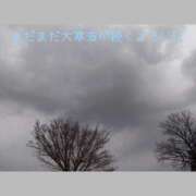 ヒメ日記 2025/02/07 11:29 投稿 うみ 金瓶梅-きんぺいぱい-