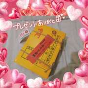 ヒメ日記 2025/02/17 02:02 投稿 うみ 金瓶梅-きんぺいぱい-