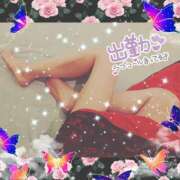 ヒメ日記 2025/02/23 08:14 投稿 うみ 金瓶梅-きんぺいぱい-