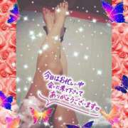 ヒメ日記 2025/03/08 01:43 投稿 うみ 金瓶梅-きんぺいぱい-