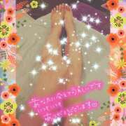 ヒメ日記 2025/03/10 01:43 投稿 うみ 金瓶梅-きんぺいぱい-