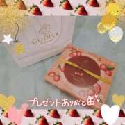 ヒメ日記 2025/03/31 01:48 投稿 うみ 金瓶梅-きんぺいぱい-