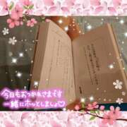 ヒメ日記 2025/04/05 23:32 投稿 うみ 金瓶梅-きんぺいぱい-