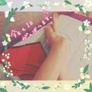 ヒメ日記 2025/04/20 15:22 投稿 うみ 金瓶梅-きんぺいぱい-