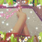 ヒメ日記 2025/04/25 17:09 投稿 うみ 金瓶梅-きんぺいぱい-