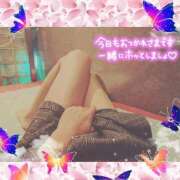 ヒメ日記 2025/04/25 19:49 投稿 うみ 金瓶梅-きんぺいぱい-