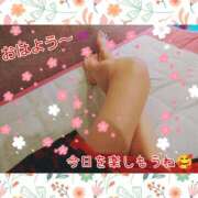 ヒメ日記 2025/04/26 06:00 投稿 うみ 金瓶梅-きんぺいぱい-