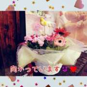 ヒメ日記 2025/05/14 14:51 投稿 うみ 金瓶梅-きんぺいぱい-