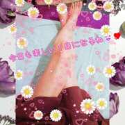 ヒメ日記 2025/05/15 06:00 投稿 うみ 金瓶梅-きんぺいぱい-